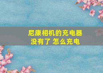 尼康相机的充电器没有了 怎么充电